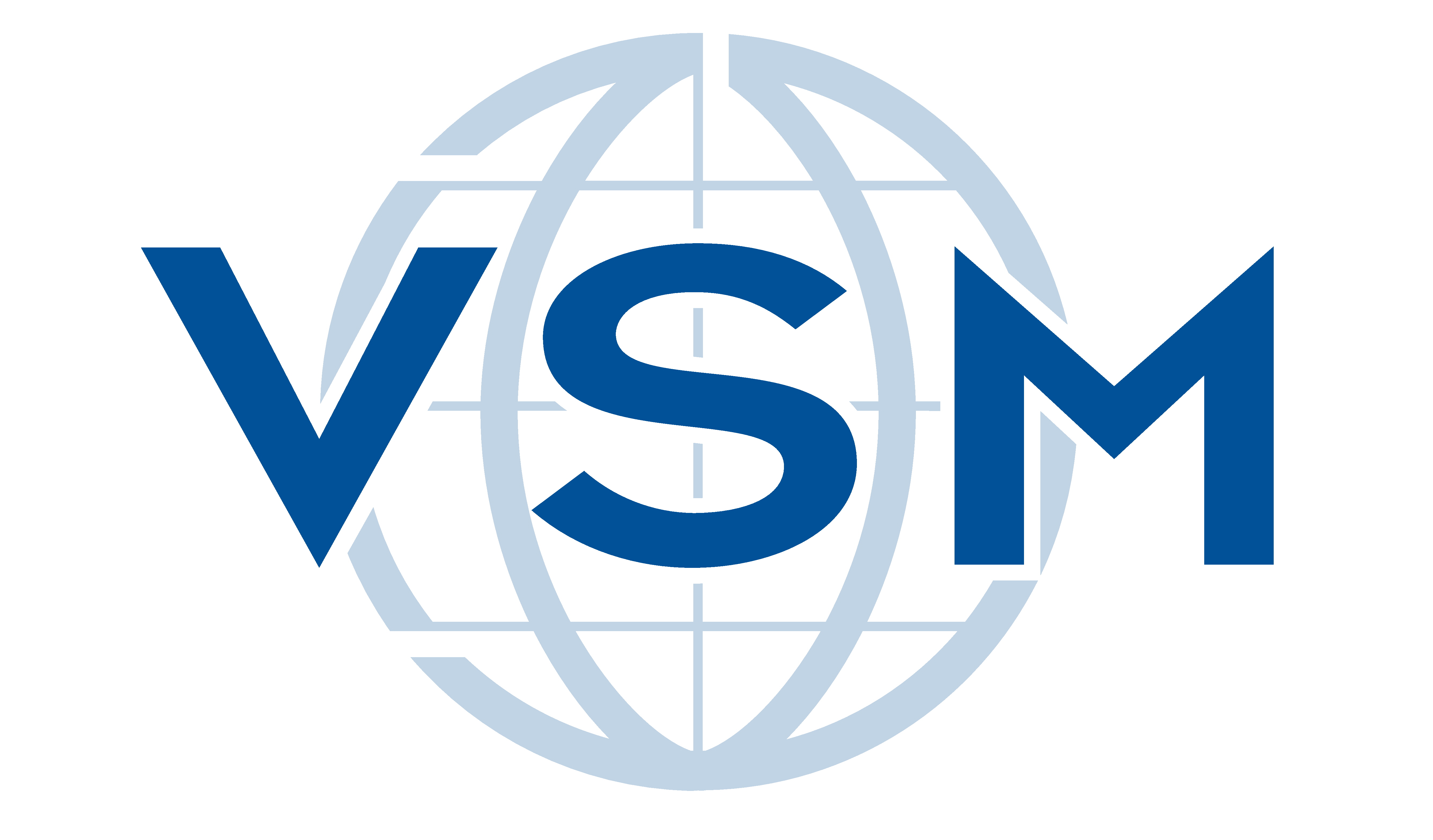 VSM_Logo